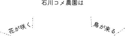 花が咲く、鳥が来る