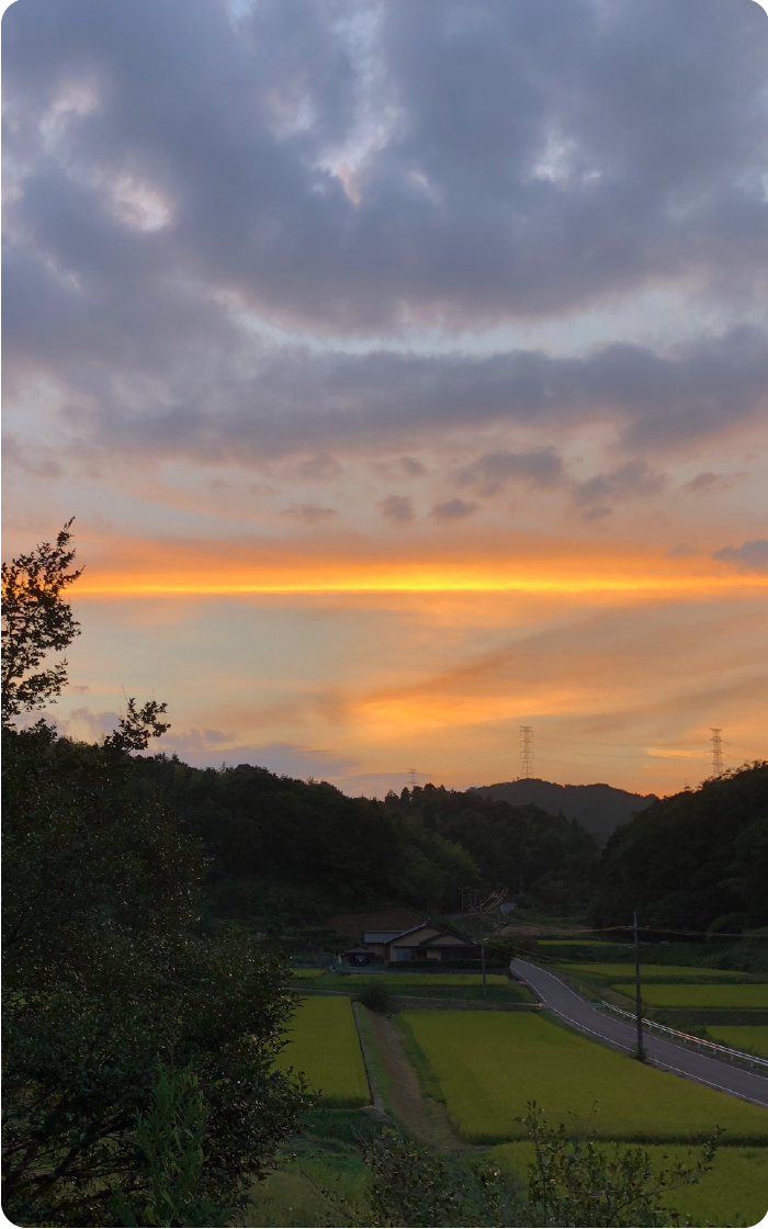 夕方の農園