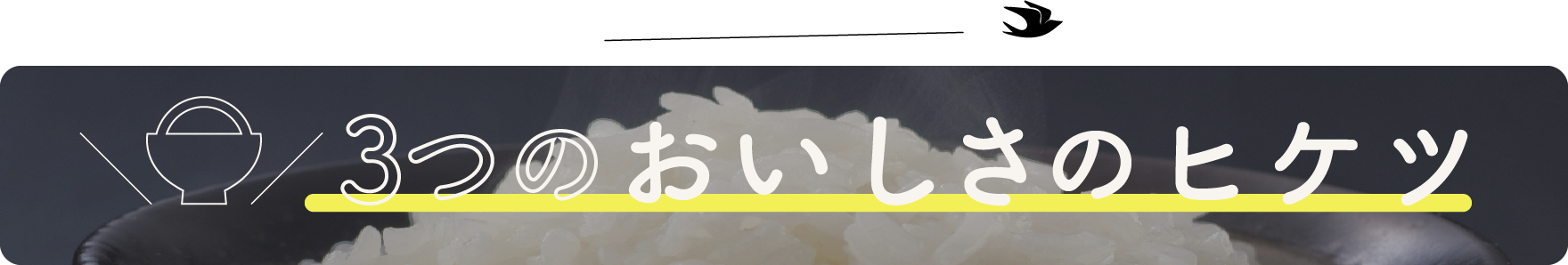 3つのおいしさのヒケツ