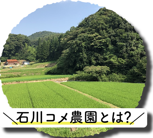 石川コメ農園とは